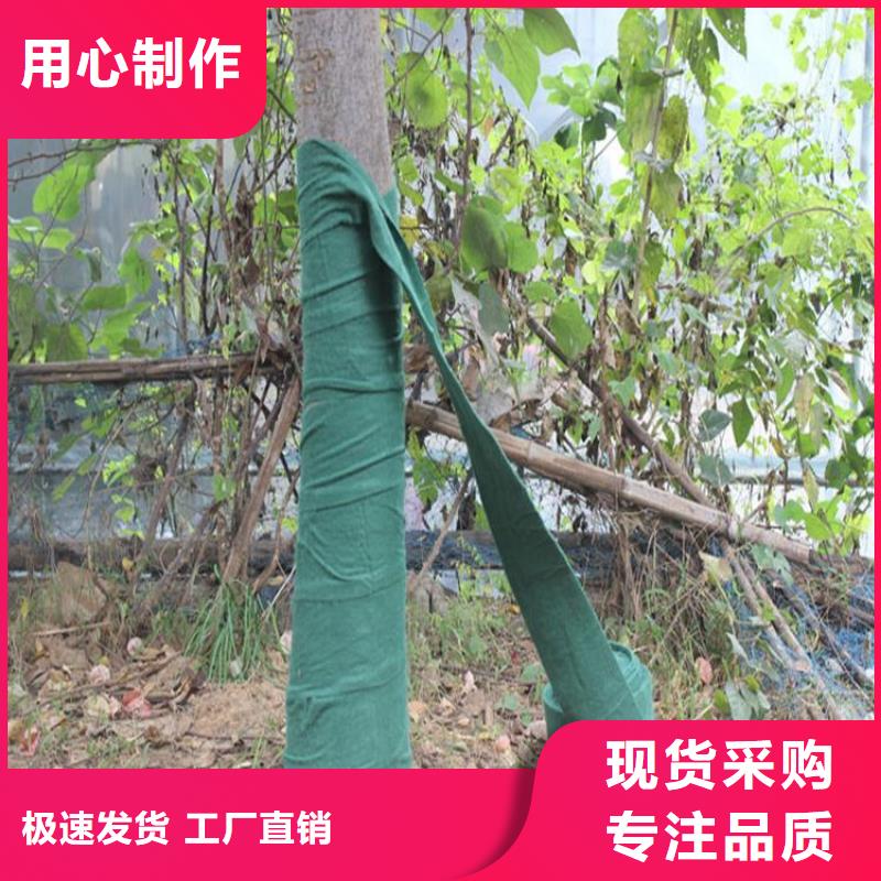 裹樹(shù)布裹樹(shù)帶