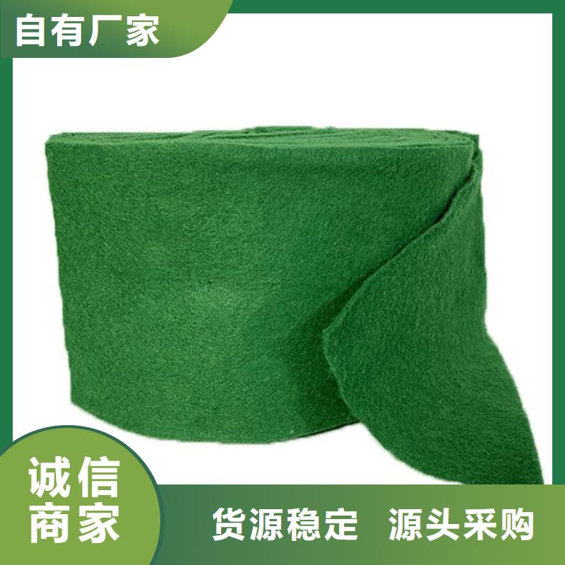 裹樹布-防水板廠家型號齊全