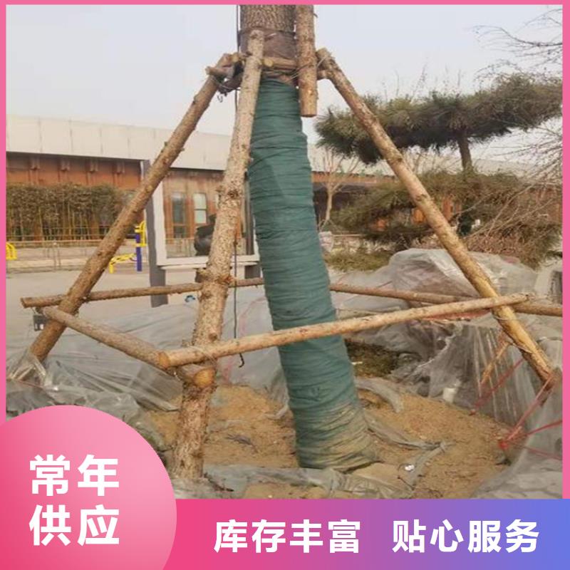 裹樹布_土工格室實力雄厚品質(zhì)保障