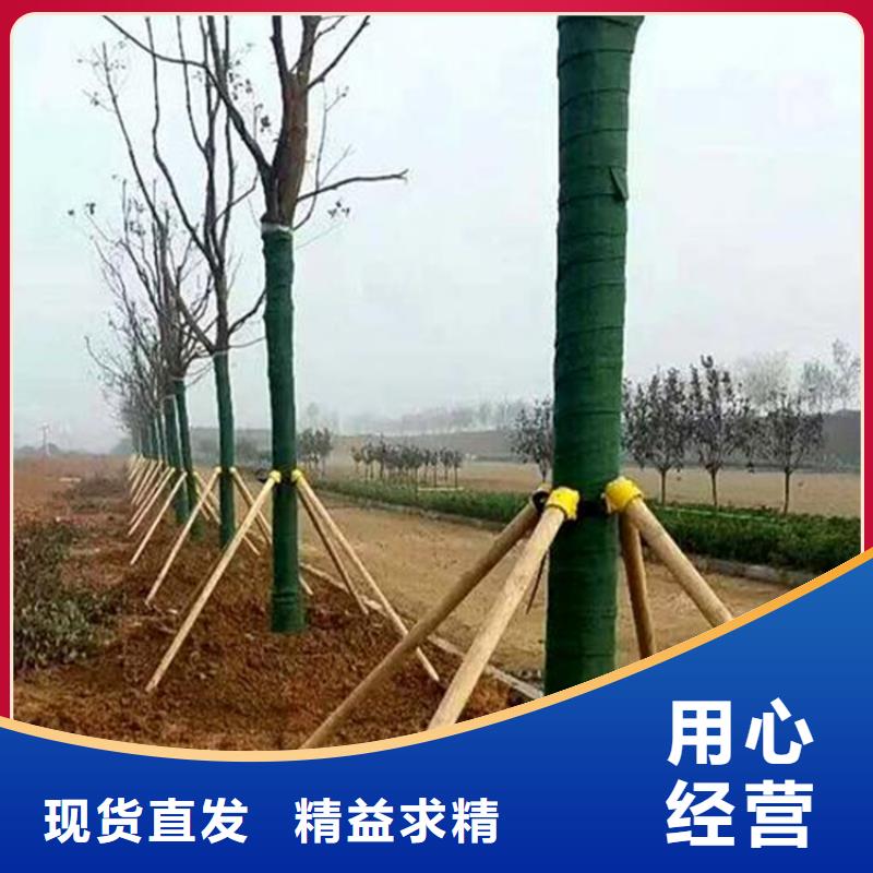 裹樹布土工膜產(chǎn)地貨源