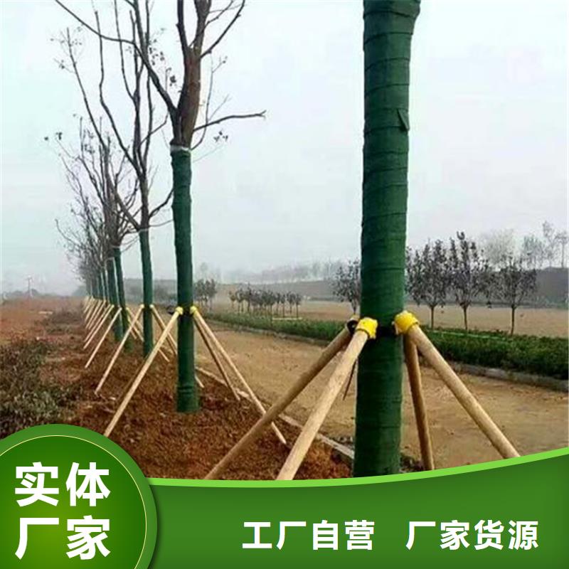 裹樹布_土工格室實力雄厚品質(zhì)保障