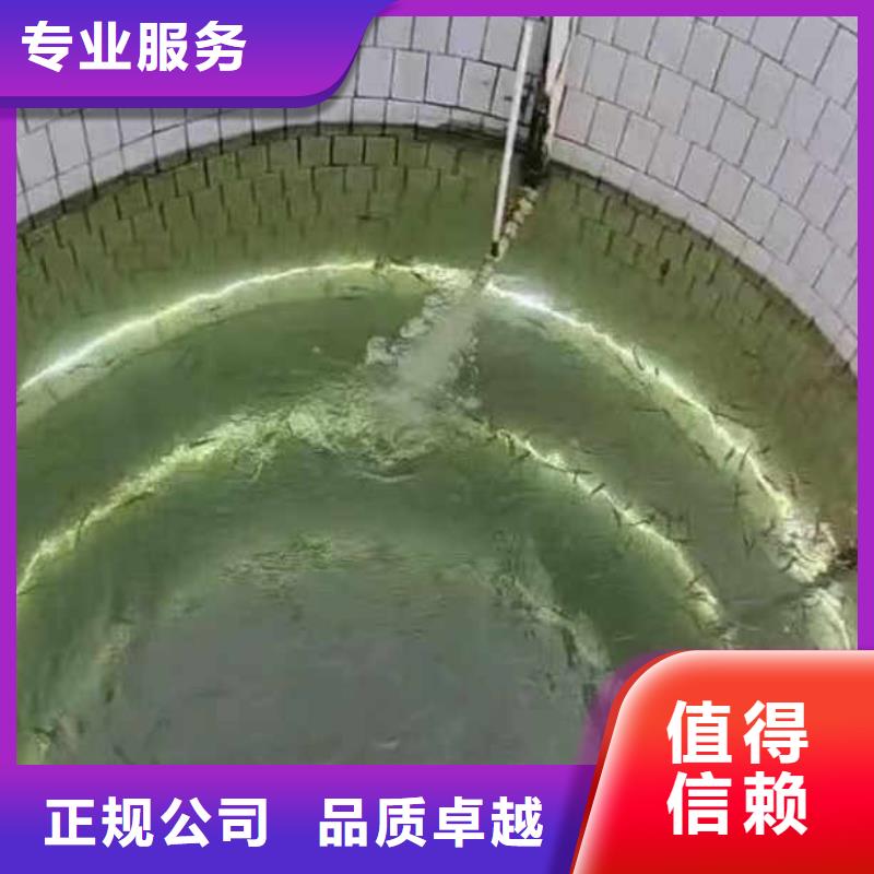 水下作業(yè)潛水員服務(wù)防水堵漏正規(guī)