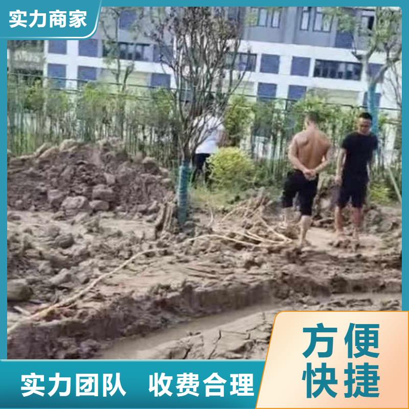水下作業(yè)潛水員服務(wù)水下攝像服務(wù)專業(yè)可靠