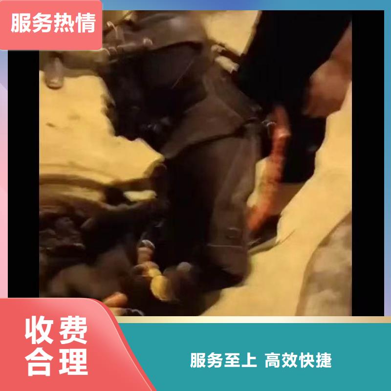 水下作業(yè)潛水員服務(wù)水下砌墻正規(guī)公司