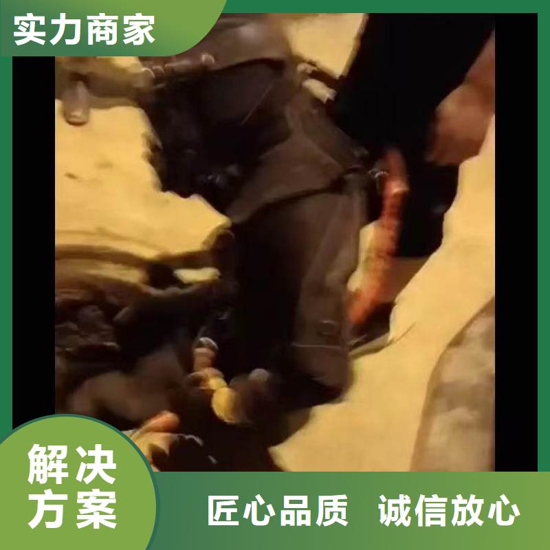 水下作业潜水员服务沉进下沉施工实力强有保证