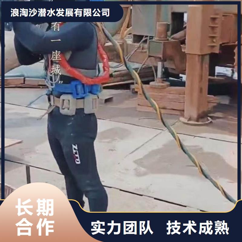 【水下作業(yè)潛水員服務(wù) 防水堵漏效果滿(mǎn)意為止】