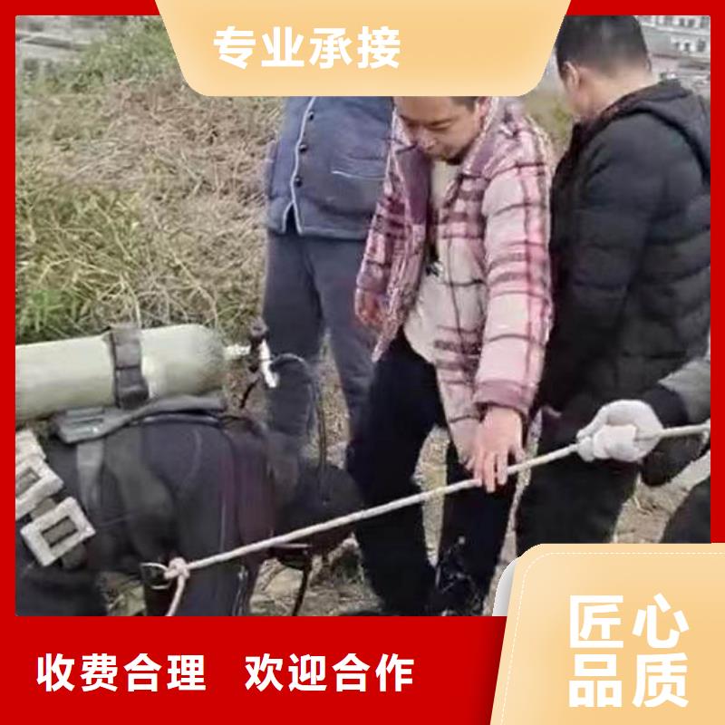 水中施工價(jià)格行情浪淘沙水工