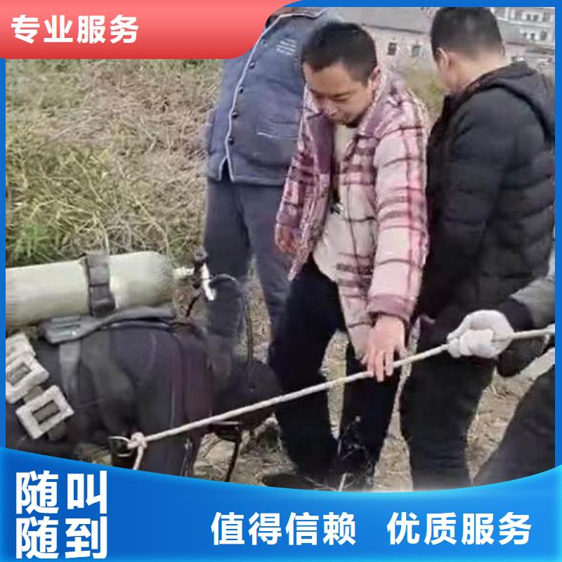水下施工蛙人服務價格表