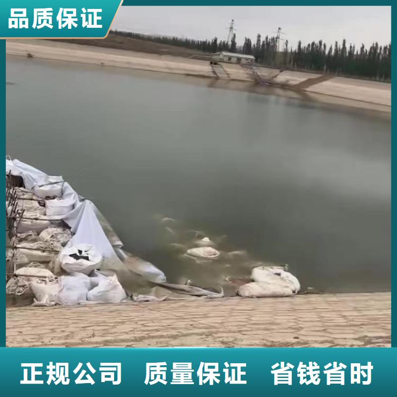 水下作業(yè)潛水員服務(wù)_本地水下堵漏收費(fèi)合理