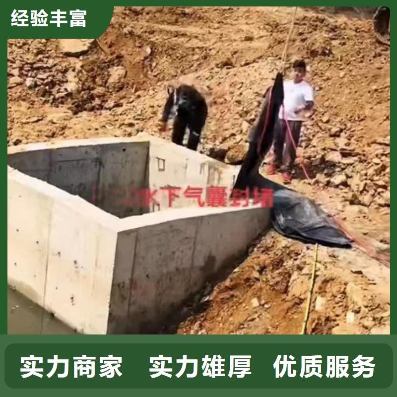 取水口水下安裝價(jià)格浪淘沙水工