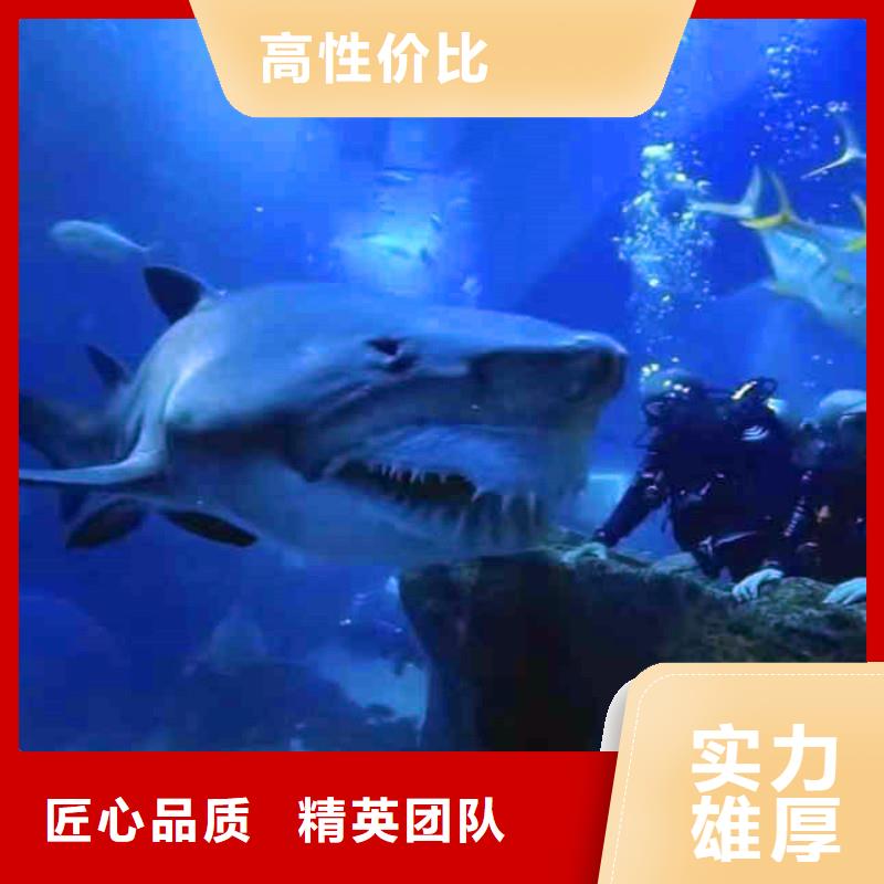 水下作業(yè)潛水員服務(wù)_水下橋墩加固正規(guī)