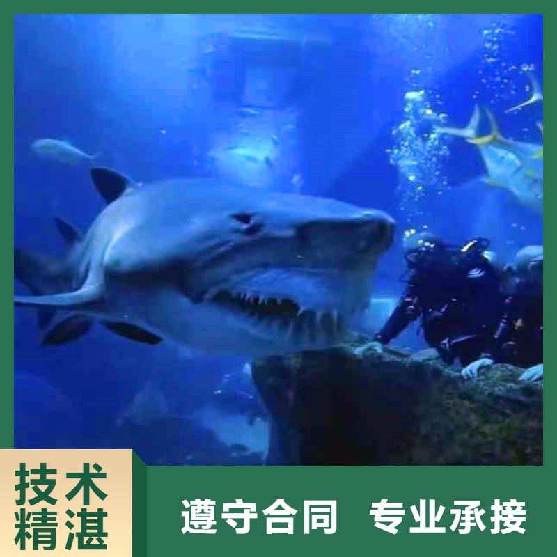 水中澆筑價(jià)格低浪淘沙水工