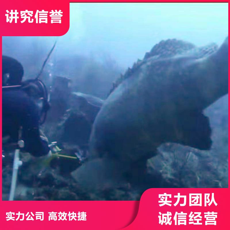 水中施工歡迎咨詢浪淘沙水工