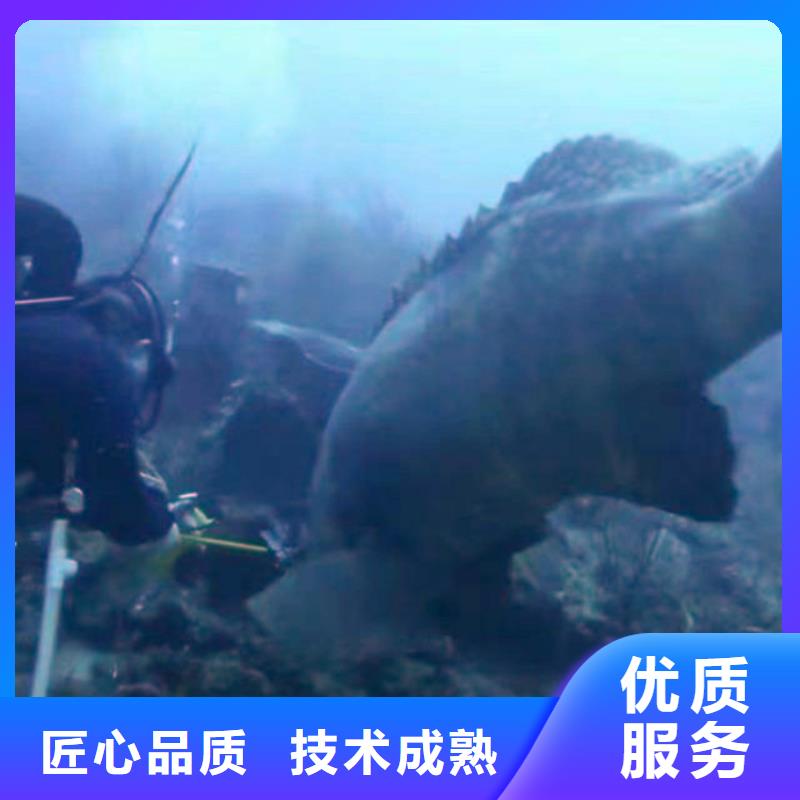 污水廠水中堵漏常用指南浪淘沙水工