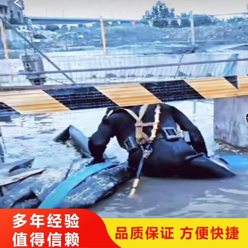 污水厂打捞泵正规厂家浪淘沙水工