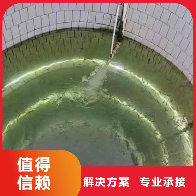 水下施工本地潛水救援歡迎合作