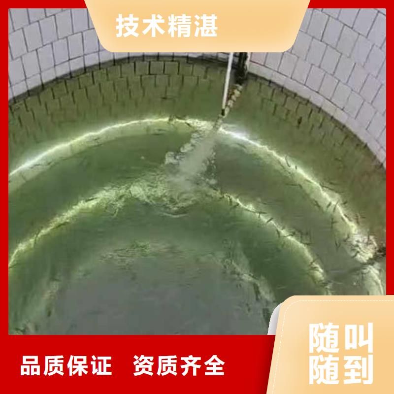 水下施工 模袋水下施工公司