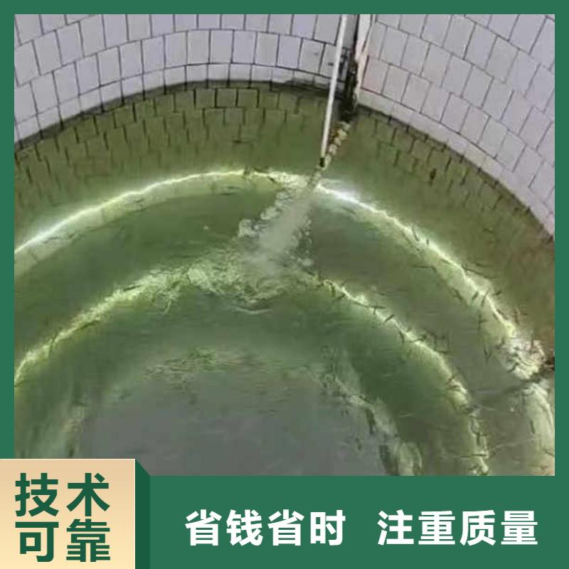 【水下施工】水下探測儀專業(yè)服務(wù)
