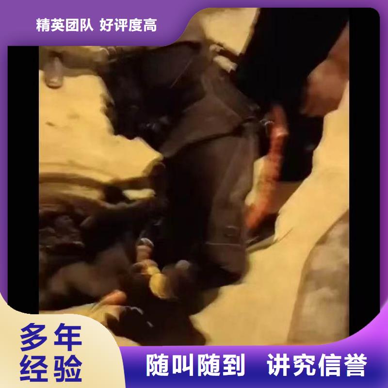 水下施工 模袋水下施工公司