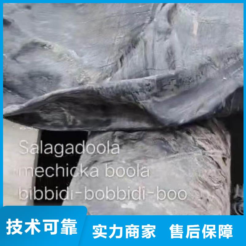 水下施工渗水补漏实力雄厚