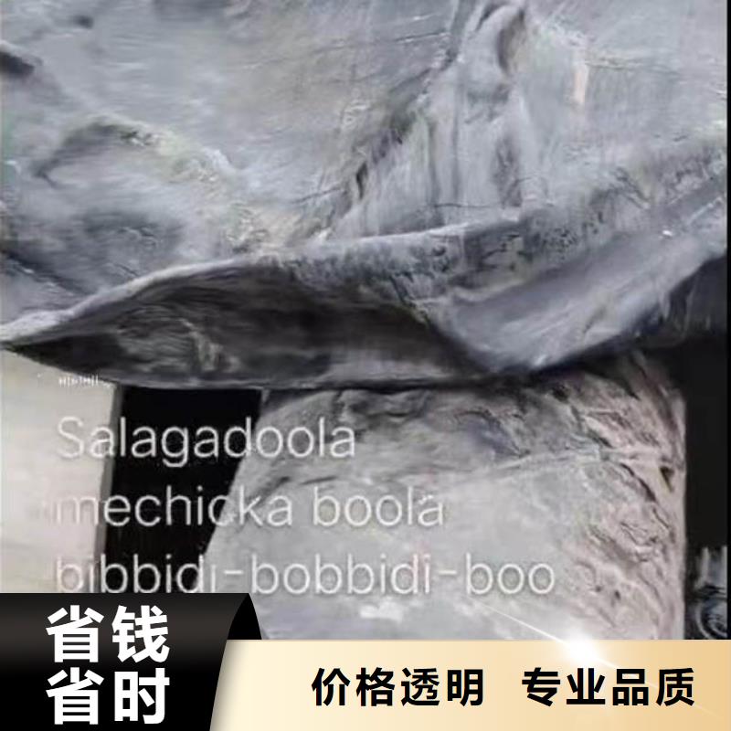 水下施工水下堵漏多家服務(wù)案例