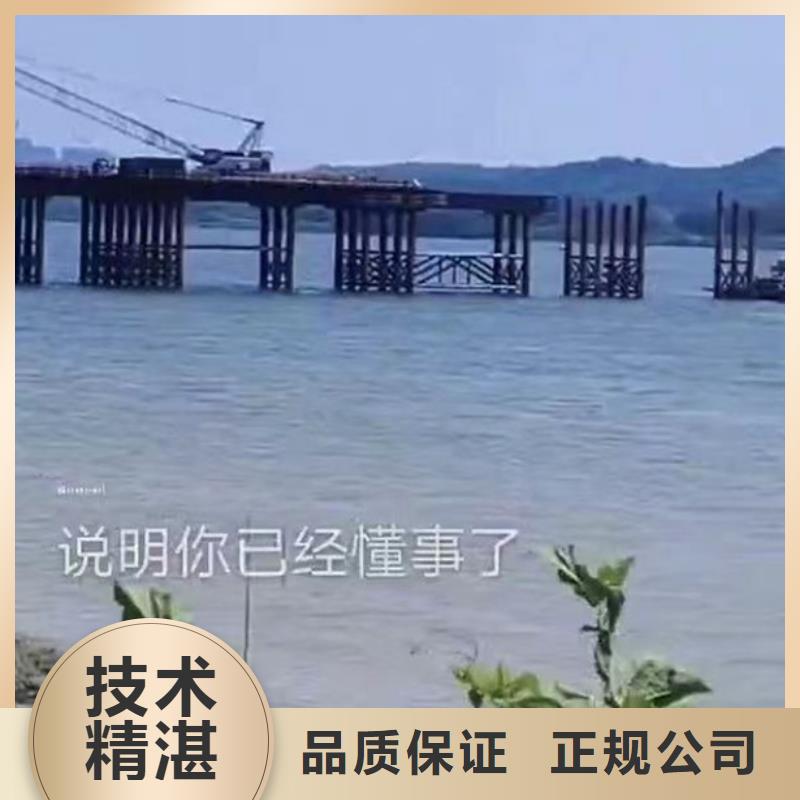 水下施工 水下探測(cè)儀注重質(zhì)量