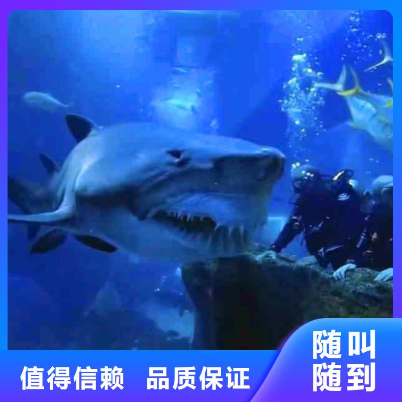 潜水员服务潜水施工随叫随到