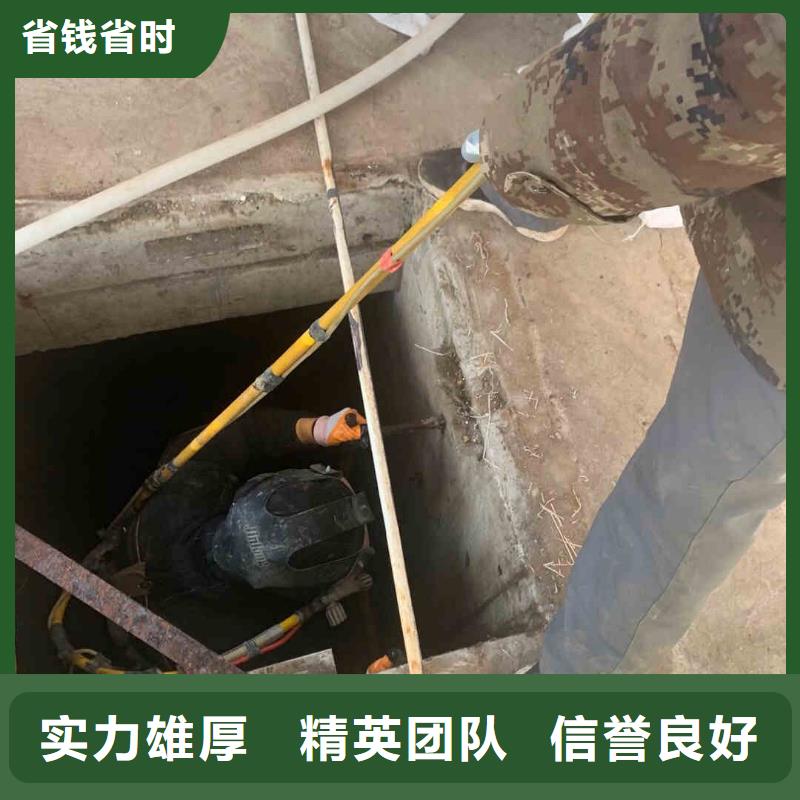 潜水员服务,水下摄影信誉良好