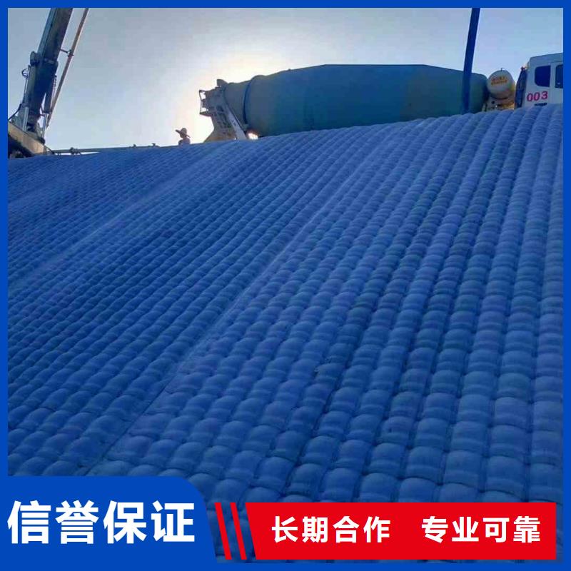 潛水員服務(wù)-水下堵漏團(tuán)隊(duì)信譽(yù)保證