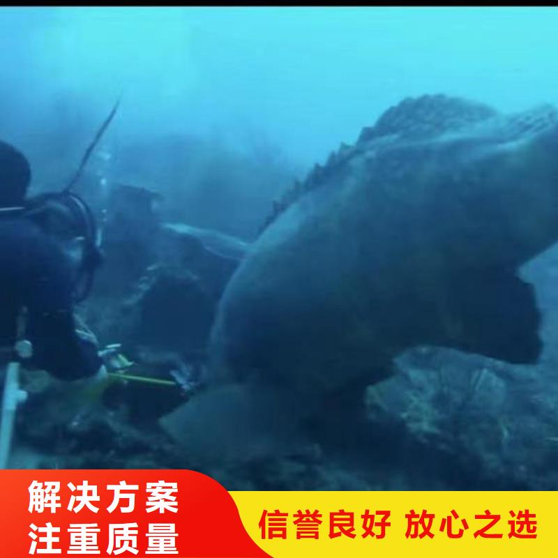 潜水员服务_水下桥墩加固质优价廉