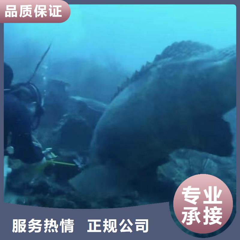 潛水員服務 水下機器人24小時為您服務
