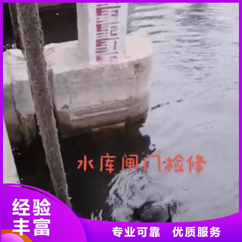 潛水員服務,水下攝影信譽良好