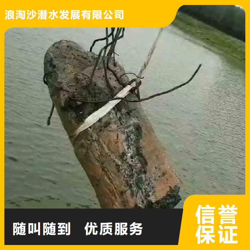 潛水員服務(wù)水下攝影專業(yè)公司