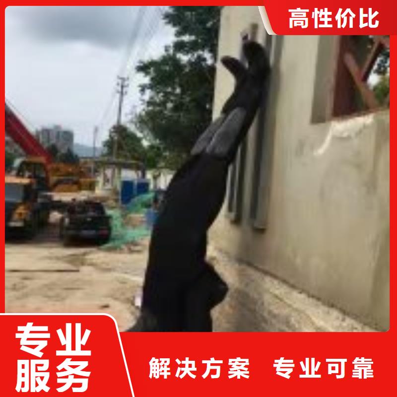 采購(gòu)潛水員閘門水下維修必看-廠家直銷