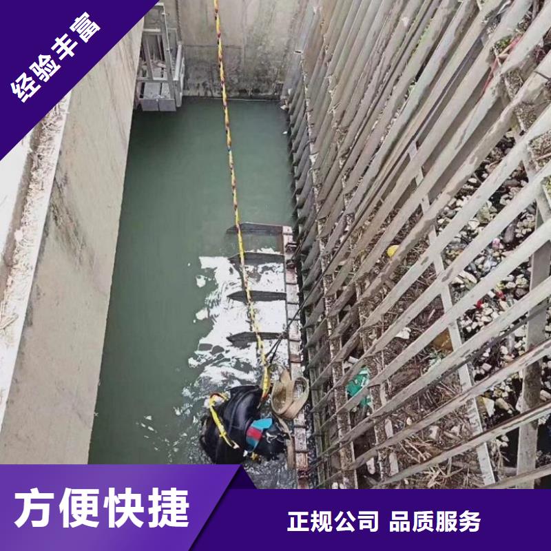 潜水员水下救援机器人信誉保证