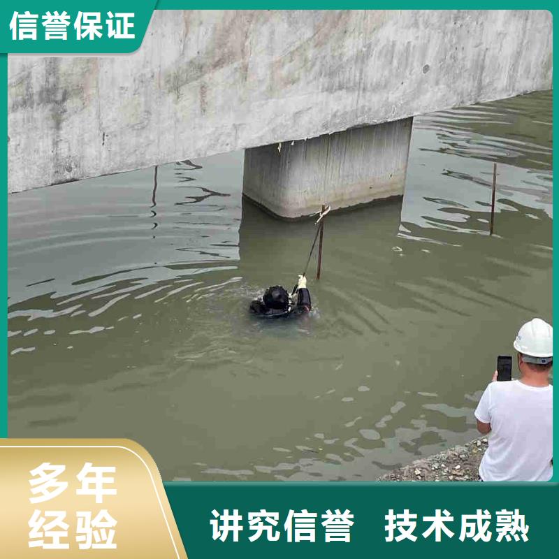 潜水员2025公司精心