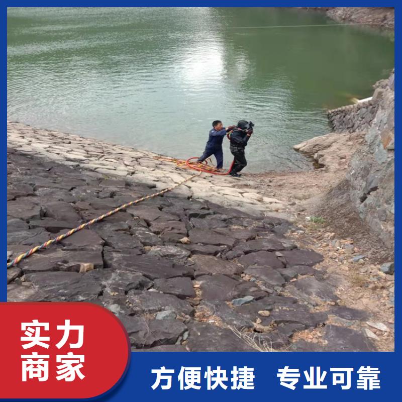發(fā)貨及時的蛙人水下攝像 經銷商