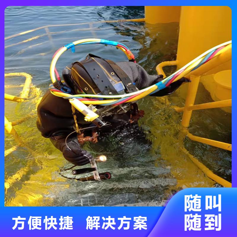  潛水員2025專業(yè)的團隊