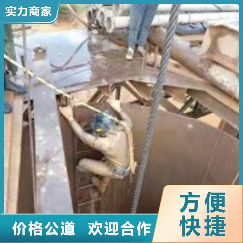  潜水员解决方案