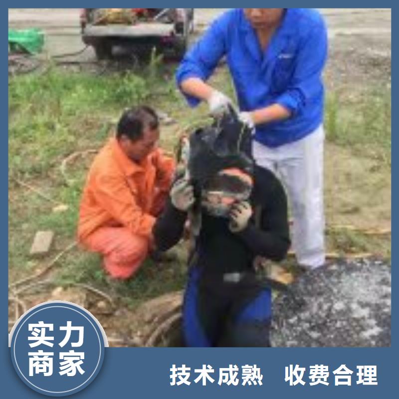  潜水员2025专业的团队