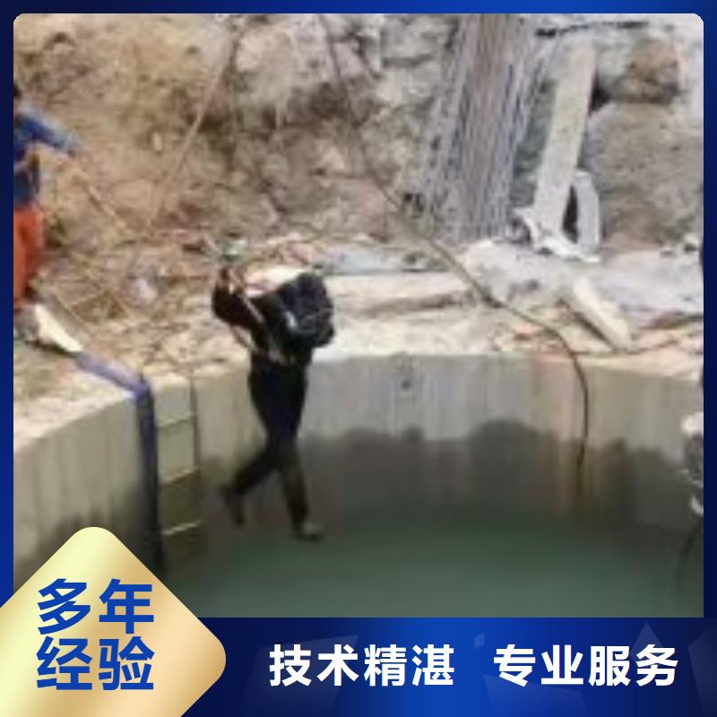 潛水員水庫閘門檢查 、潛水員水庫閘門檢查 生產(chǎn)廠家-找東泓潛水工程公司