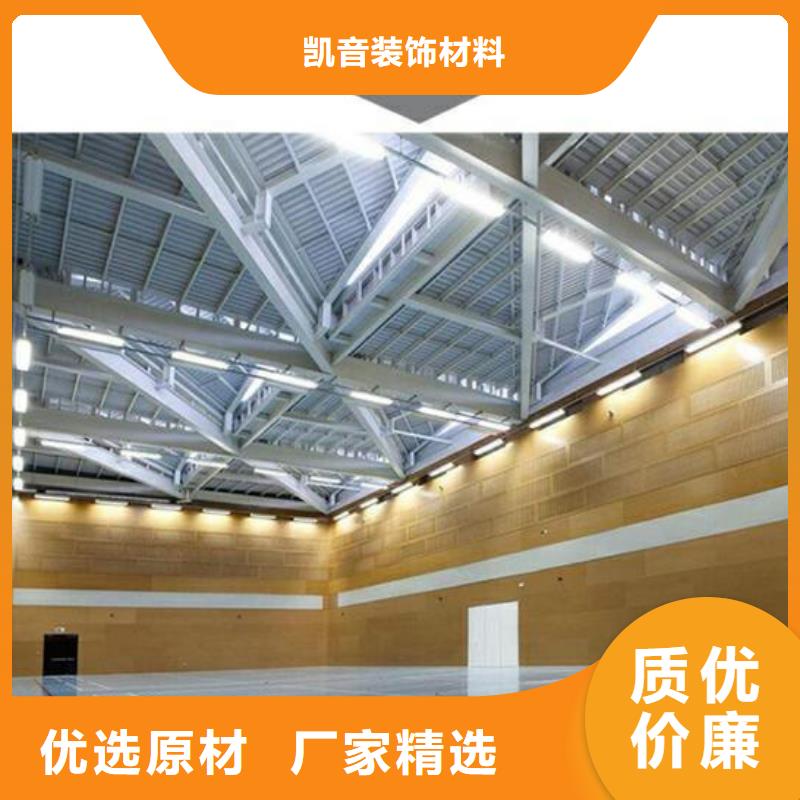 縣專業(yè)體育館吸音改造公司--2025近方案/價(jià)格