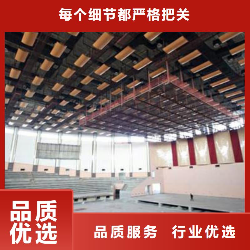 縣羽毛球館體育館聲學改造方案--2025近方案/價格