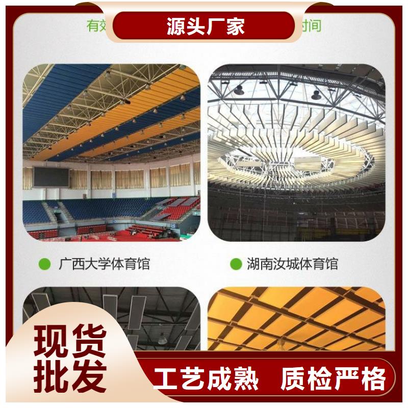 縣專(zhuān)業(yè)體育館吸音改造方案--2025近方案/價(jià)格