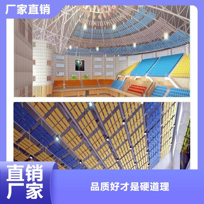 縣大型體育館聲學(xué)改造價(jià)格--2025近方案/價(jià)格