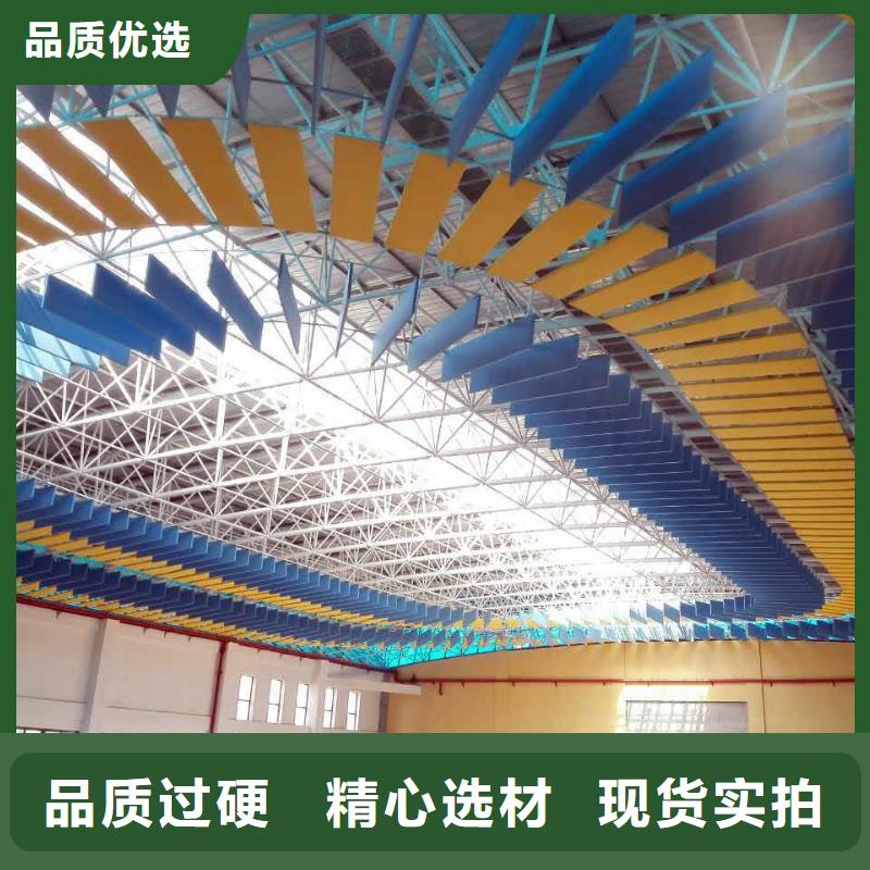 县体育馆吸音改造方案--2025近方案/价格