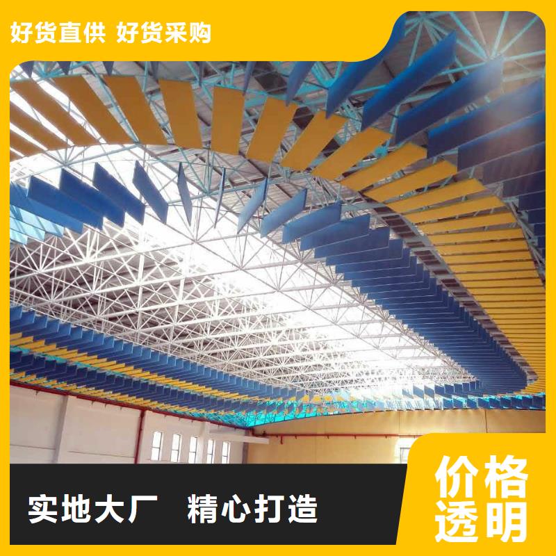 縣集團(tuán)公司體育館聲學(xué)改造方案--2025近方案/價(jià)格