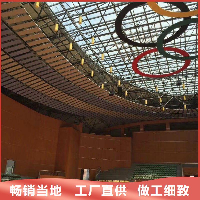 專業(yè)體育館吸音改造方案--2025近方案/價(jià)格