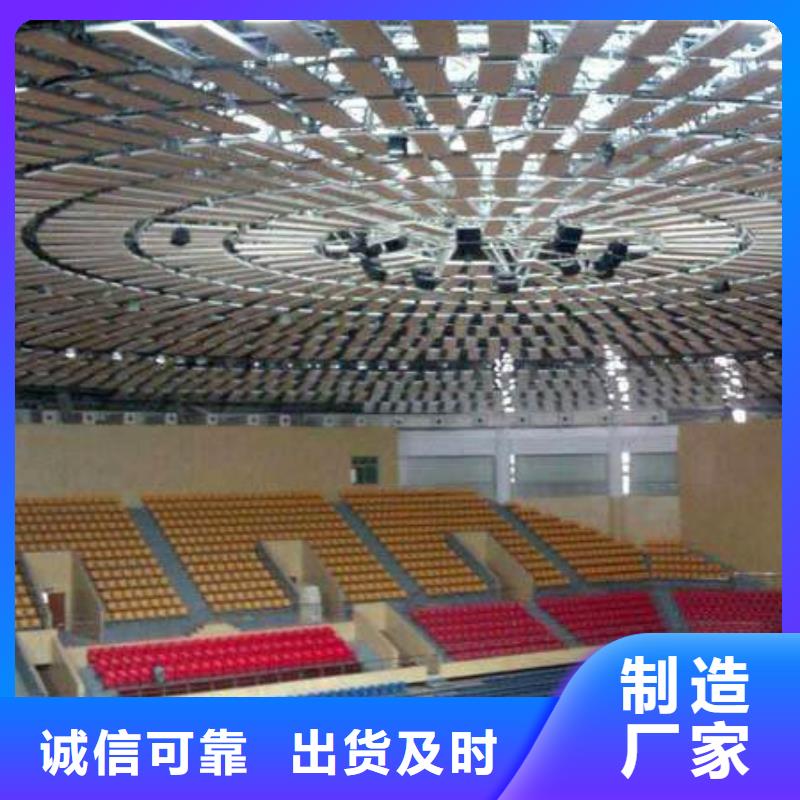 縣集團公司體育館吸音改造方案--2025近方案/價格