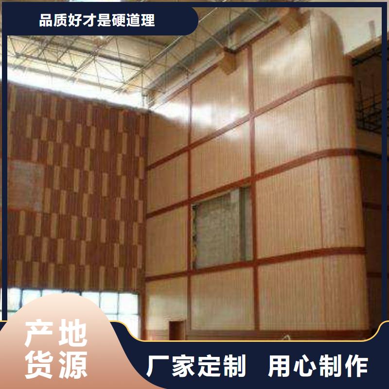 縣集團(tuán)公司體育館吸音改造公司--2025近方案/價(jià)格